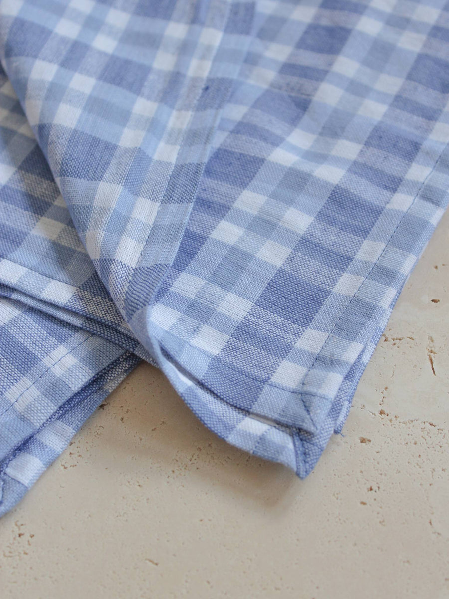 cotton napkins - blue check - set of 2