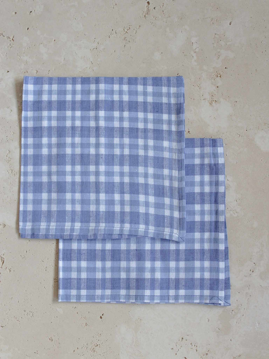 cotton napkins - blue check - set of 2
